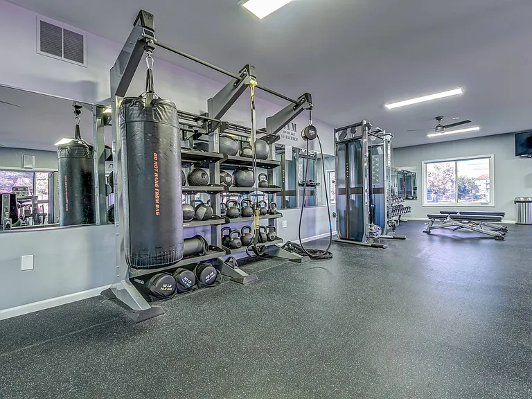 Fitness Center TRX Station