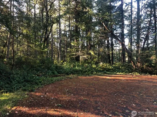 9501 116th Avenue Ct, Anderson Island, WA 98303