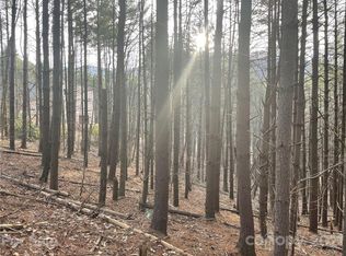 29 Tallwood Rd, Leicester, NC 28748