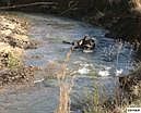 2nd image of 519 Mountain Lake Rd