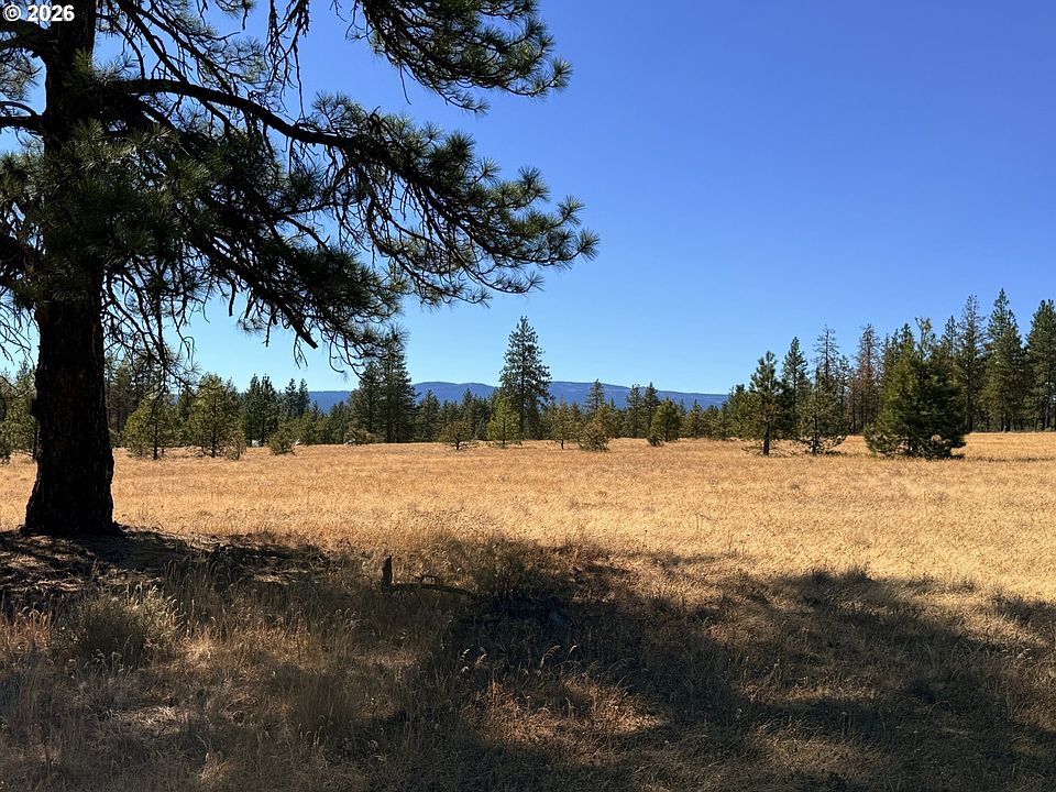 1st image of Box Canyon Buckhorn #1