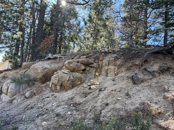 2686 Viking Ln #73, Running Springs, CA 92382