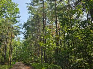 LOT 53 Newell Ave, Topinabee, MI 49791