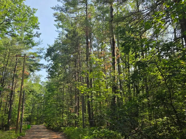 LOT 53 Newell Ave, Topinabee, MI 49791