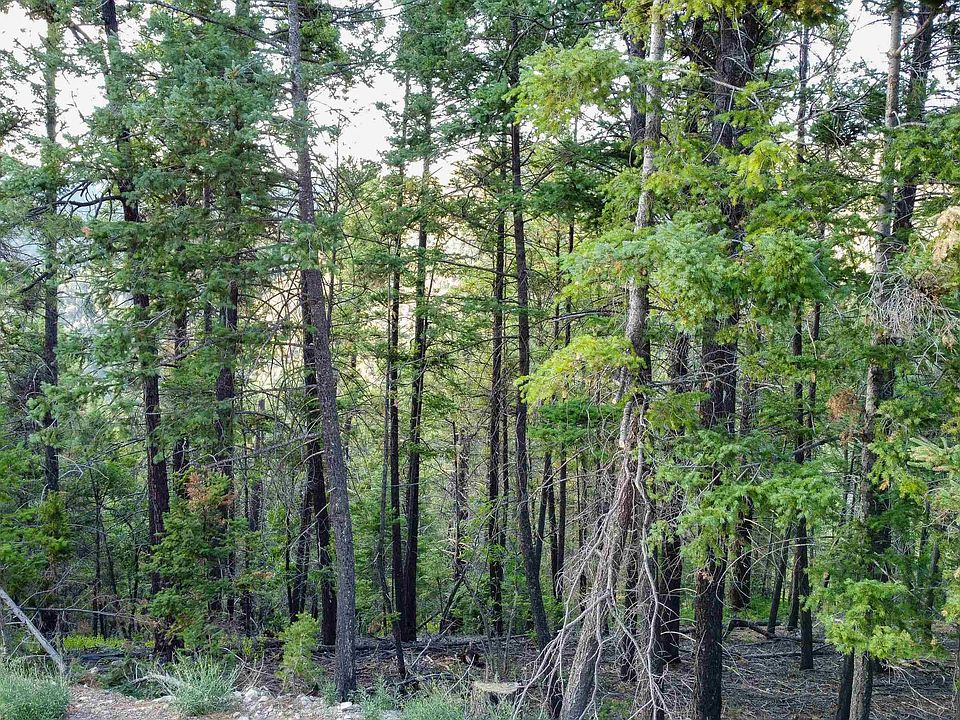 LOT 4 Henry Summit Dr, High Rolls Mountain Park, NM 88325 MLS 168271