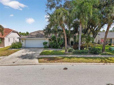 2824 Summervale Dr, Holiday, FL, 34691