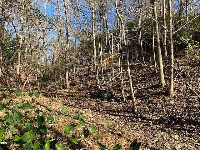 2nd image of 1309 Buffalo Shoals Rd