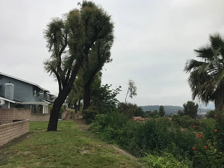 1827 Lanai St — Photo 15