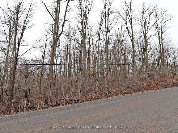 3rd image of 207 Goodfellow Rd