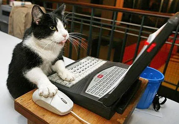 Rented by Nest Seekers International | media 24