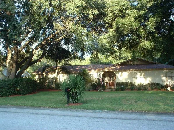 12201 Elsmere Ct, Thonotosassa, FL 33592