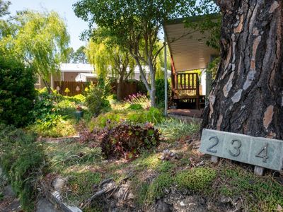 234 E Seven Flags Circle, Sonoma, CA, 95476