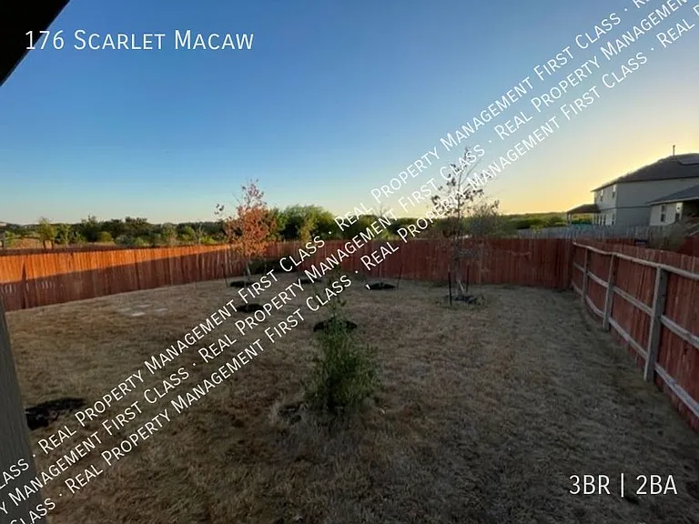176 Scarlet Macaw — Photo 16