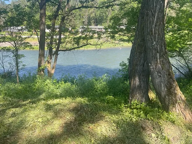 8020 Rogue River Highway - 1 — Photo 4