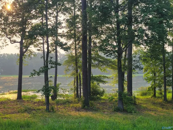 22 Goosepond Island Dr, Scottsboro, AL 35769