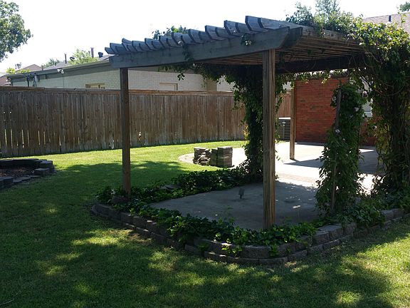 Pergola in back yard