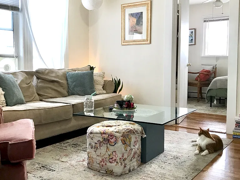 236 Cedar St #2 — Photo 6
