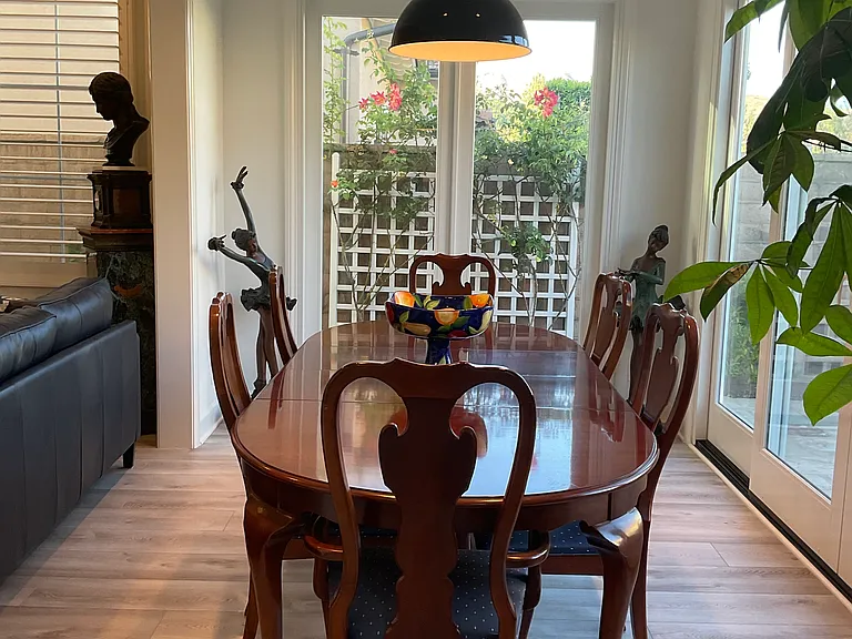 Quarter Horse — Photo 16