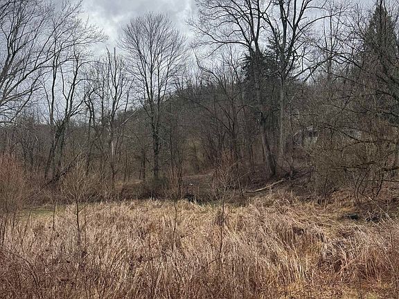 5th image of Sunshine Rd