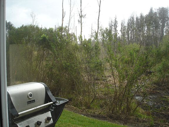2nd image of 6249 Ashbury Palms Dr