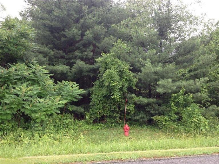 2nd image of Holden Rd