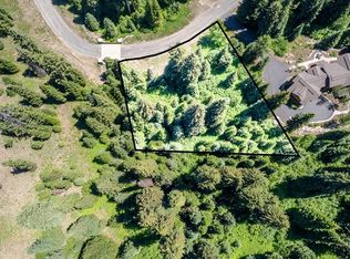 151 Pinnacle Ct Unit 47, Cascade, ID 83611