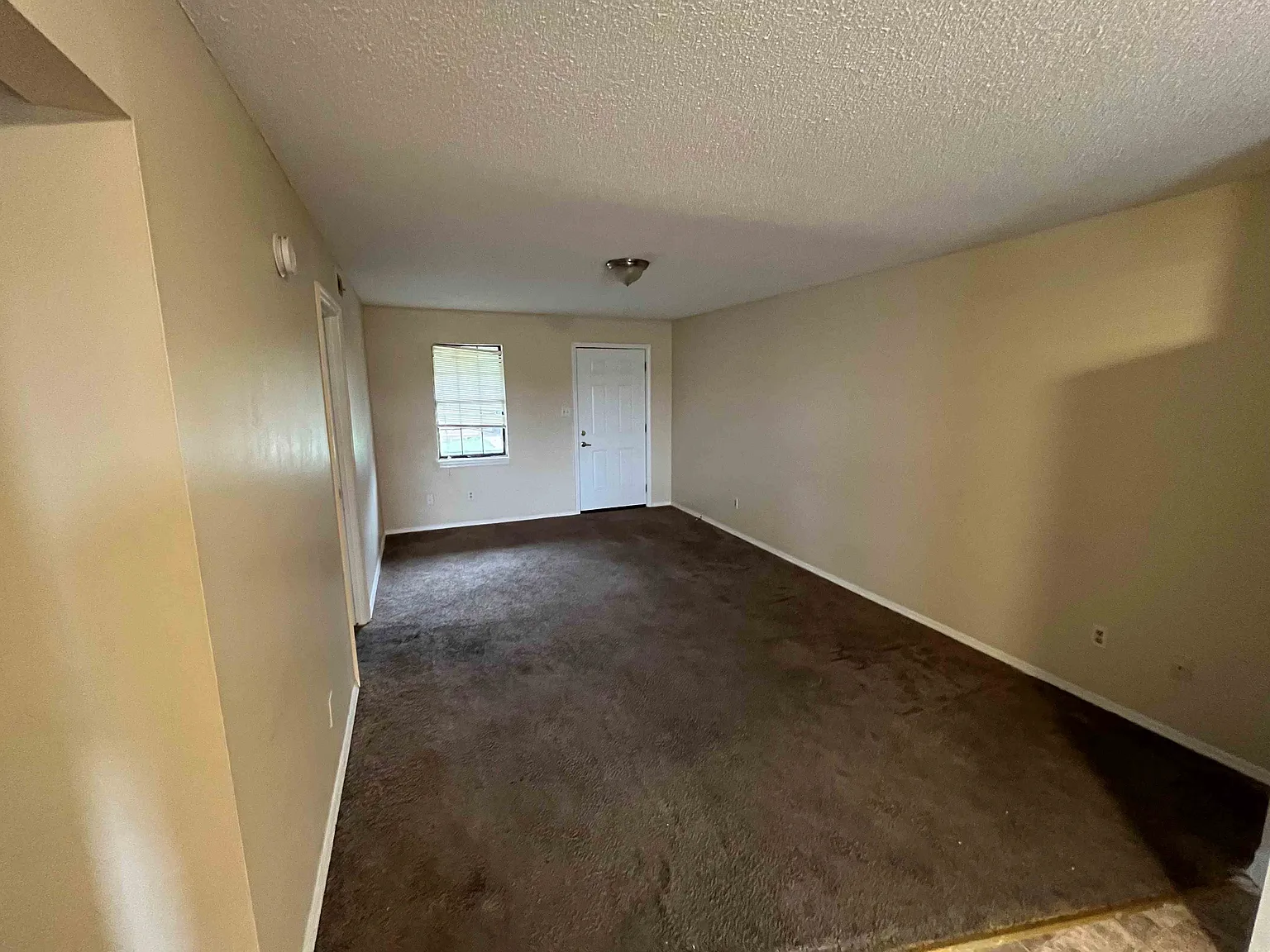 2 bed, 900 sqft, $900 — Photo 3