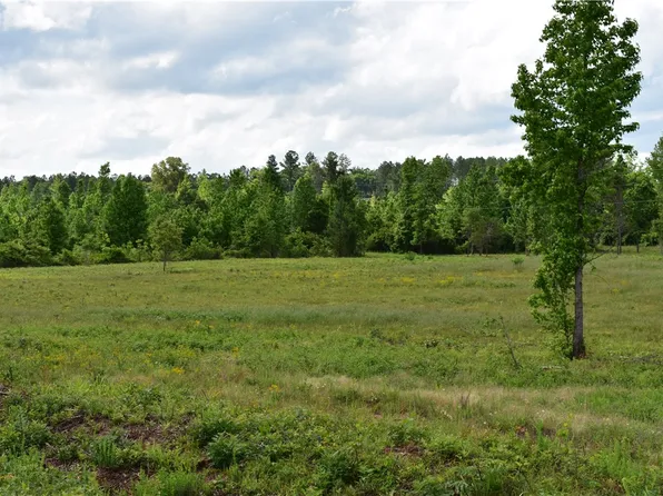 0 County Road 94, Waverly, AL 36879