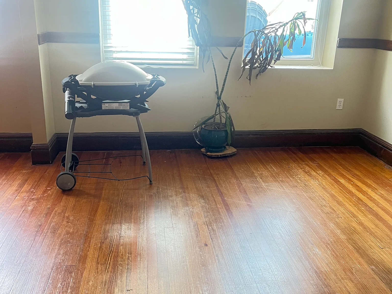 SolomonandmimiLLC — Photo 4