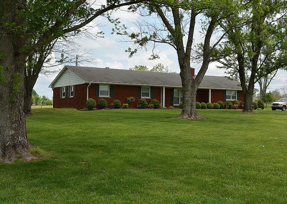 Lots of mature shade front