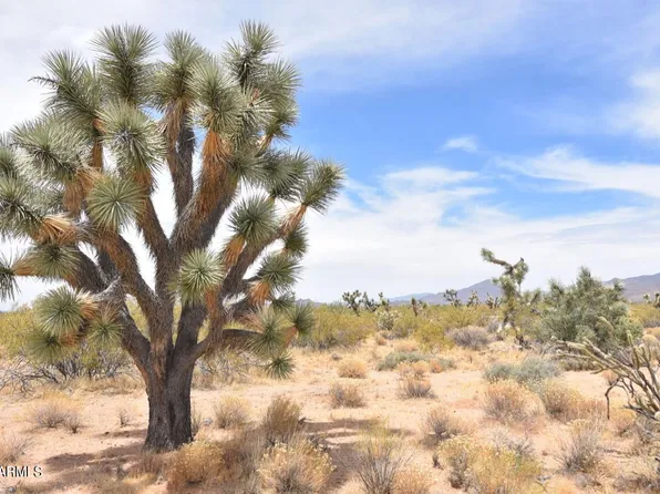 0 S Javelina Road #197, Yucca, AZ 86438