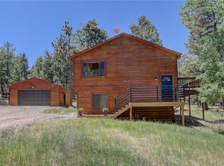 67 S Ridge Rd, Bailey, CO 80421