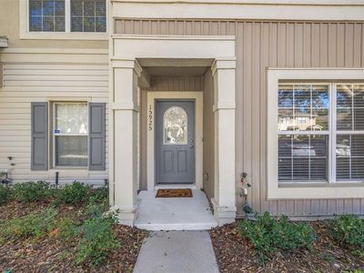 15925 Fishhawk View Dr, Lithia, FL, 33547