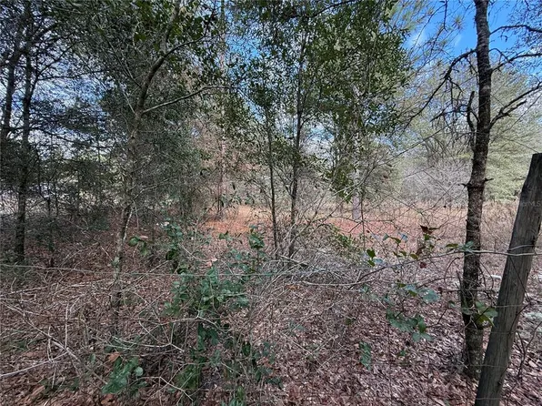 NE 194th St Lot 7, Citra, FL 32113