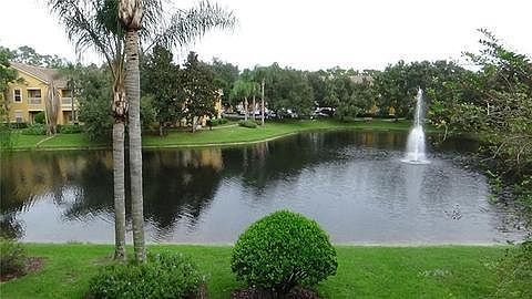 Very calm and peaceful pond outside back door of condo unit