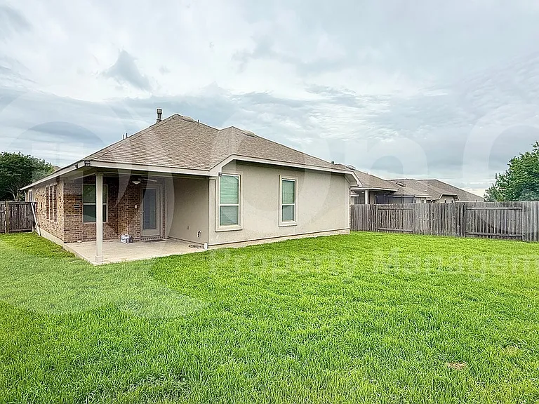 100 Lily Turf Cv — Photo 26