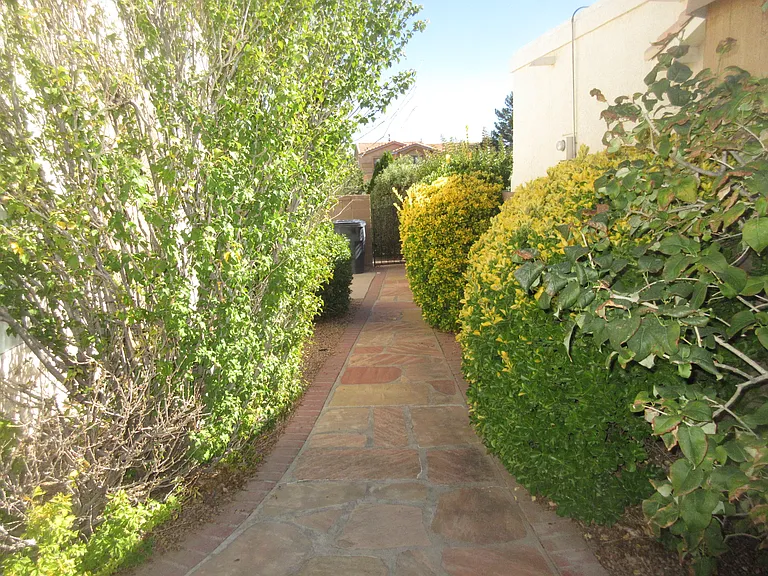 Walkway from Backyard