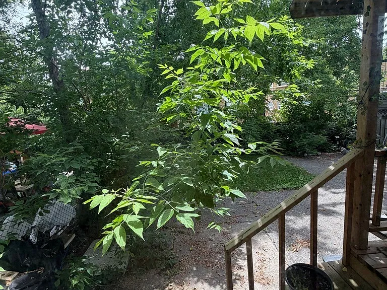 43 Morgan Ave — Photo 17