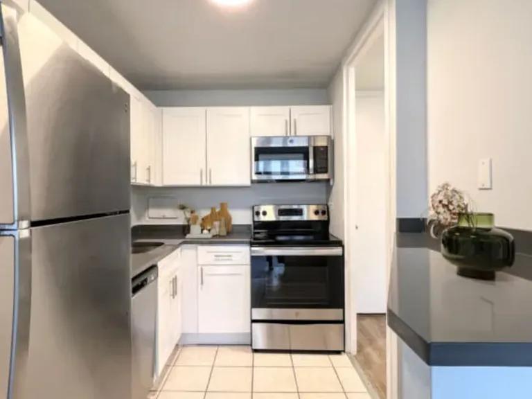 1346 N Dearborn St #11B — Photo 4