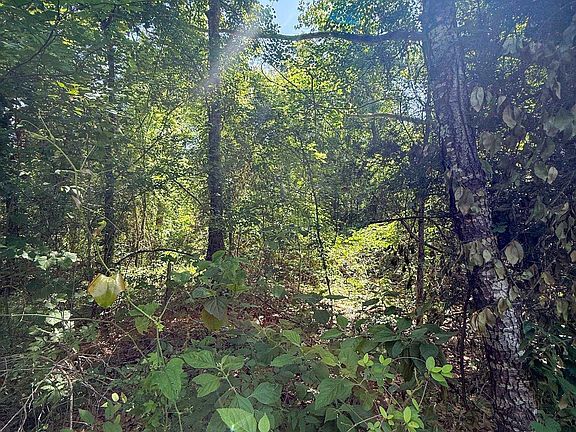 5th image of 1329 County Road 2112