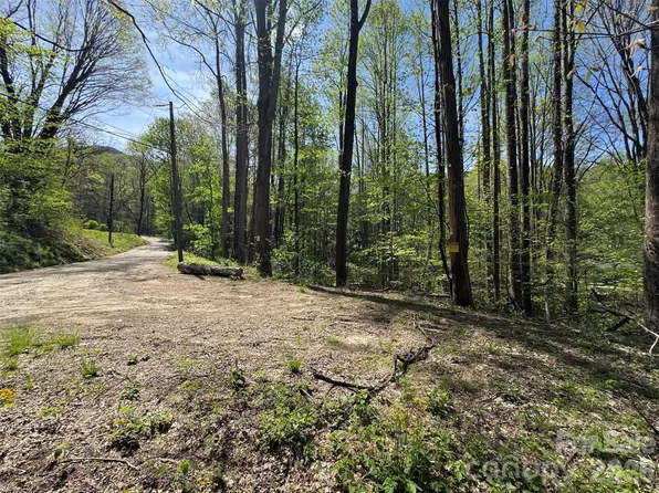 NULLB Browning Branch Rd, Waynesville, NC 28786