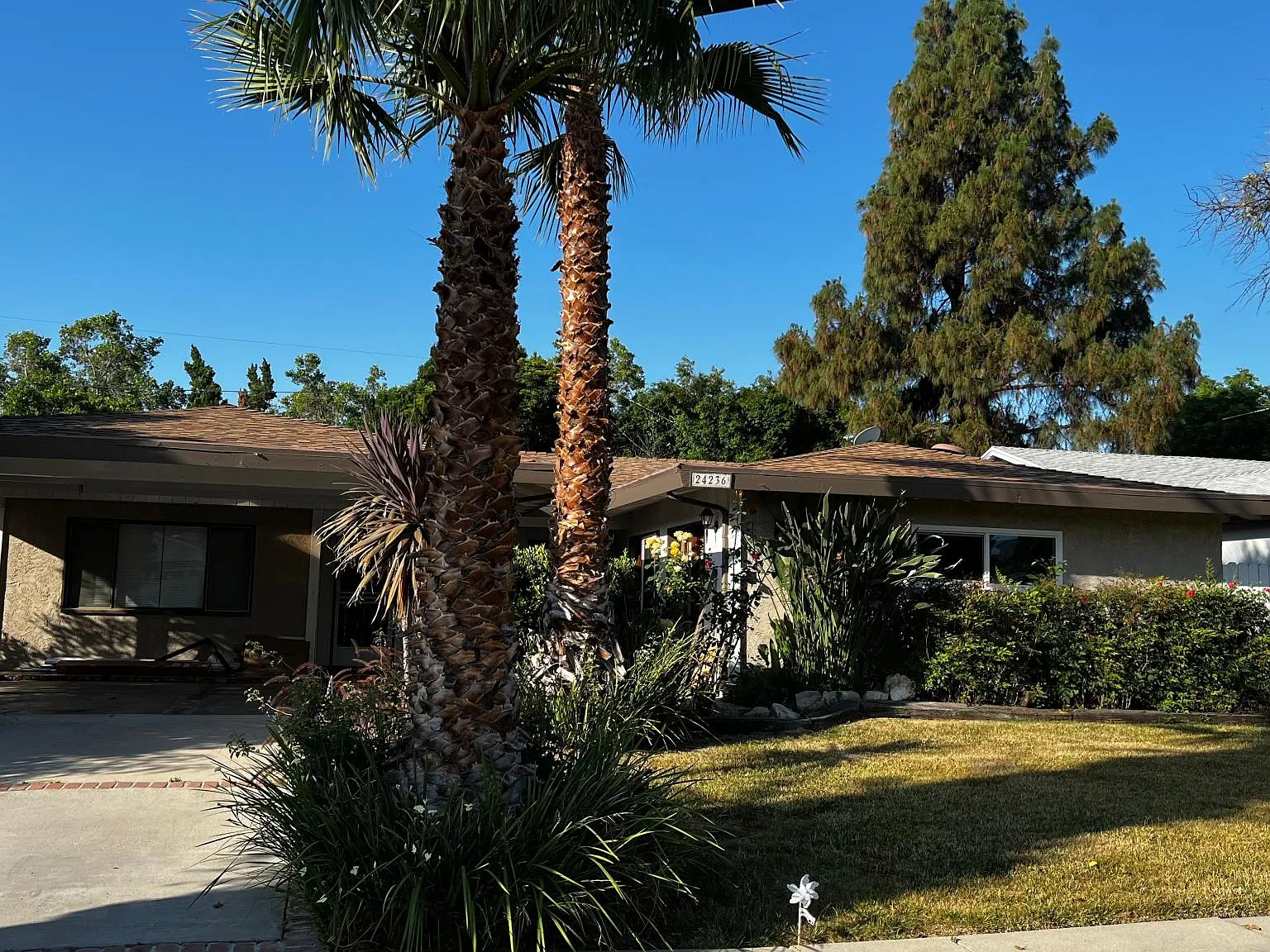 4 bed, 2213 sqft, $5,600 — Photo 2