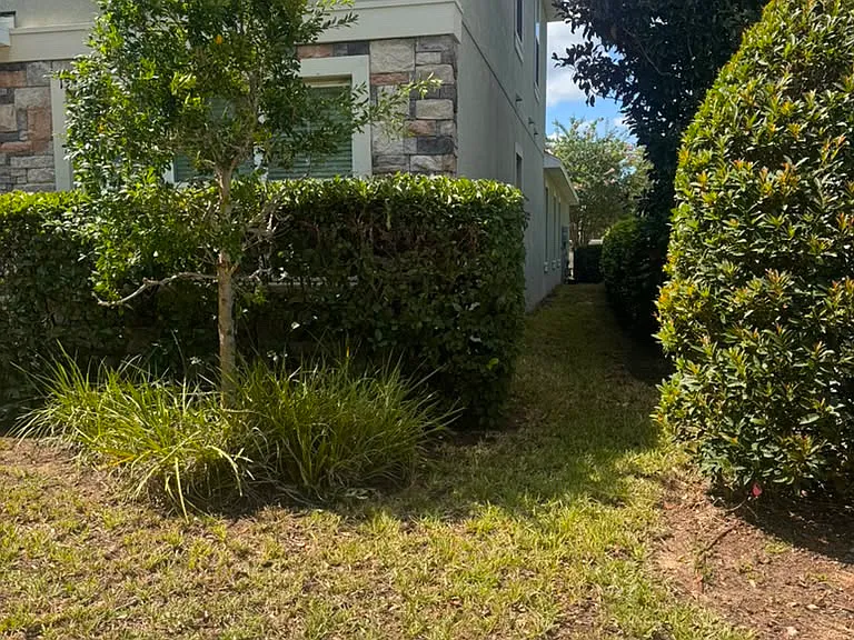 15498 Murcott Blossom Blvd — Photo 24
