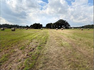 13029 S County Road 39 Lot 9, Lithia, FL 33547