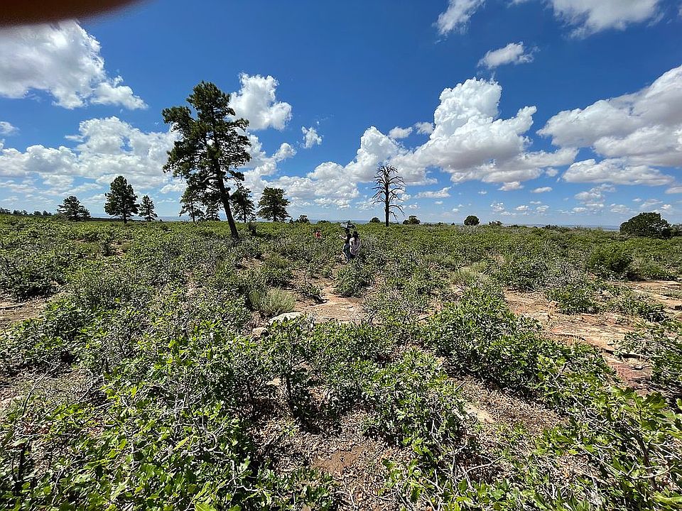 6722 Happy Ln, Dove Creek, CO 81324 Zillow