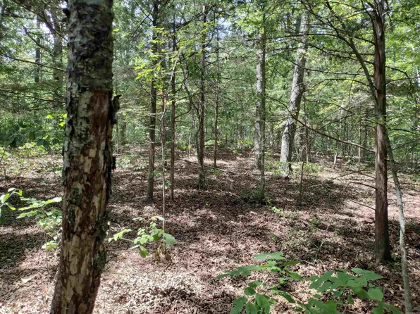 00 Highway 9 South, Mountain View, AR 72560
