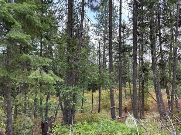 1234 Orin Rice Road, Addy, WA 99114