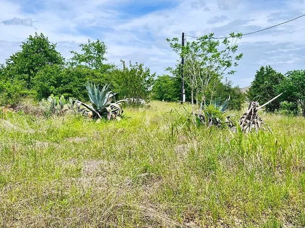 126 Wild Bird Loop, Smithville, TX 78957