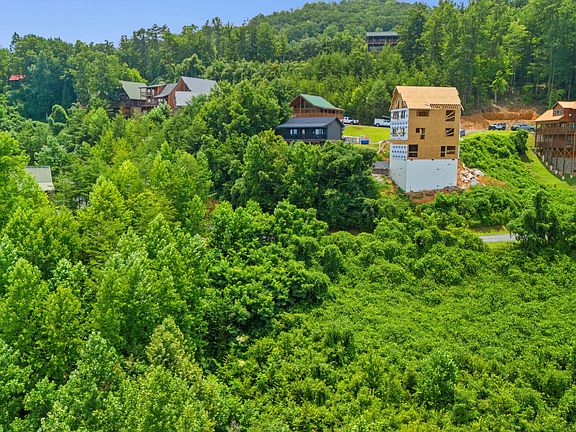 4th image of 46 Pine Peak Way Lot 46