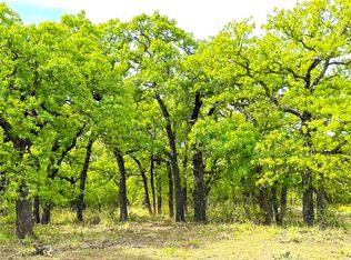 17101 Fm 920, Poolville, TX 76487